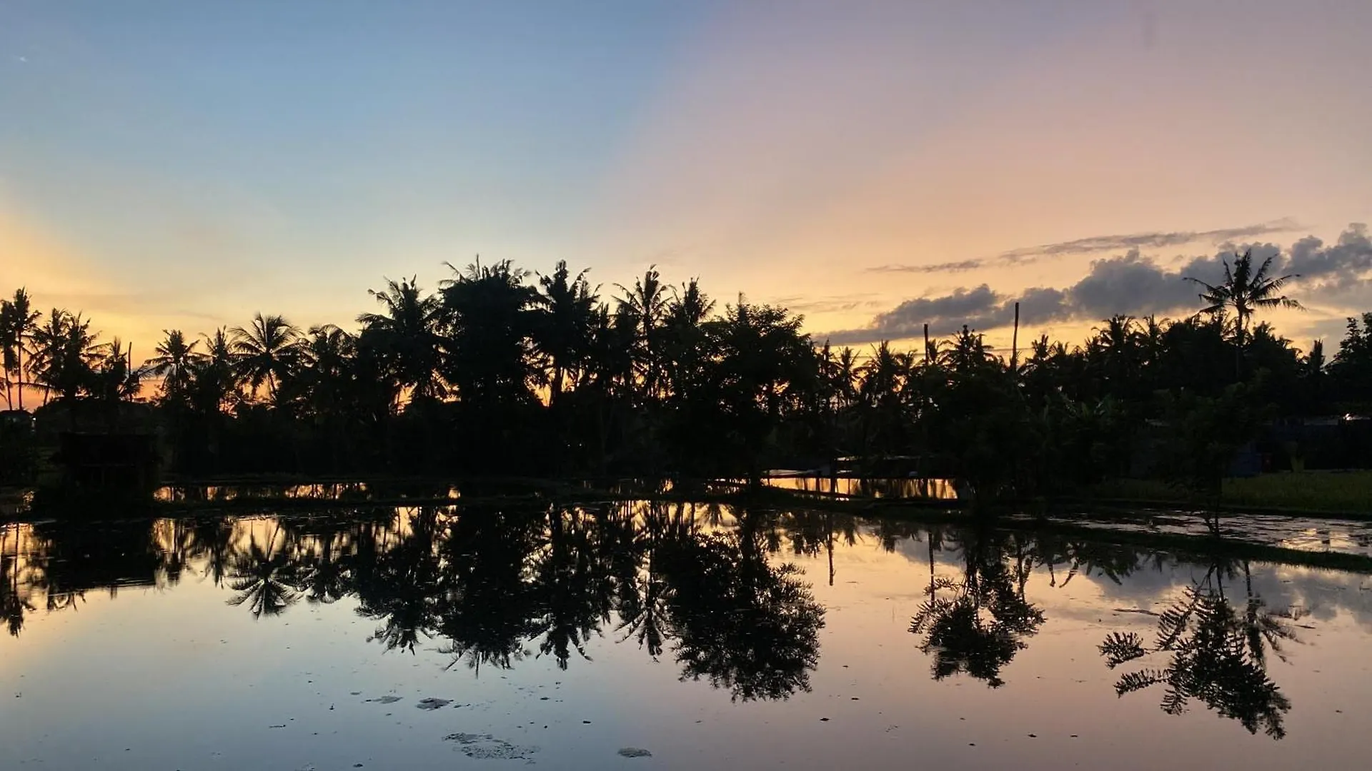 Villa Mon Reve Ubud  Indonesia